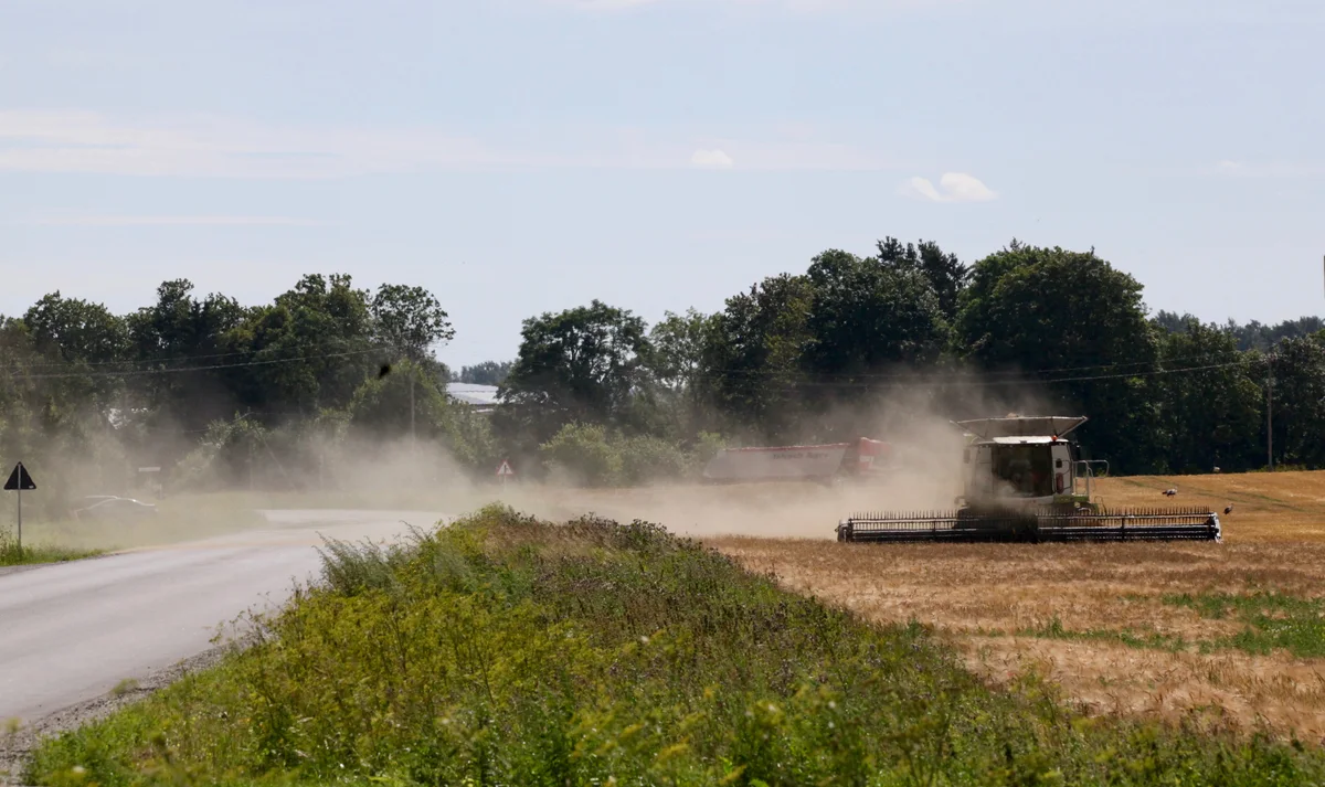 Combine harvester working in a grain field
